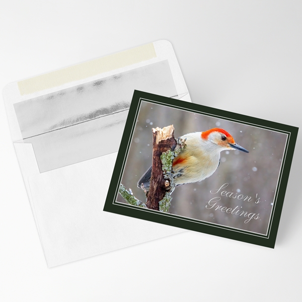 Alternate view:ALT1 of Woodpecker on Perch Holiday Cards