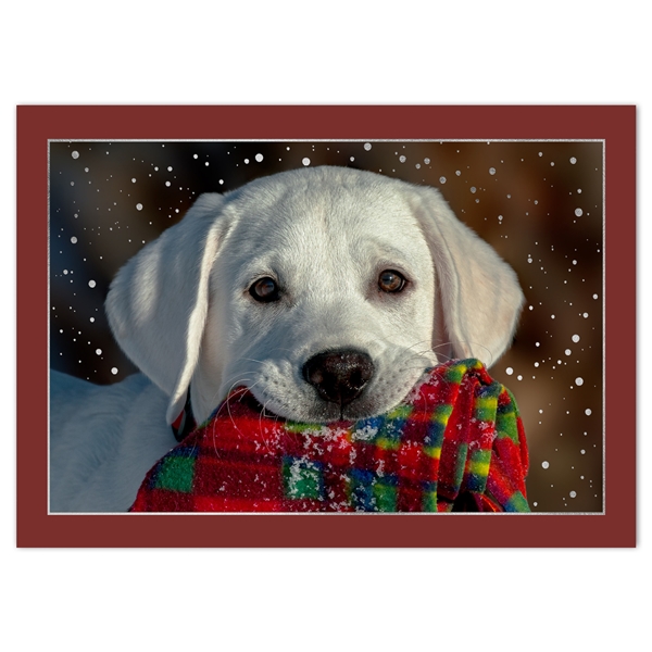 Alternate view: of Yellow Lab with Scarf Holiday Cards