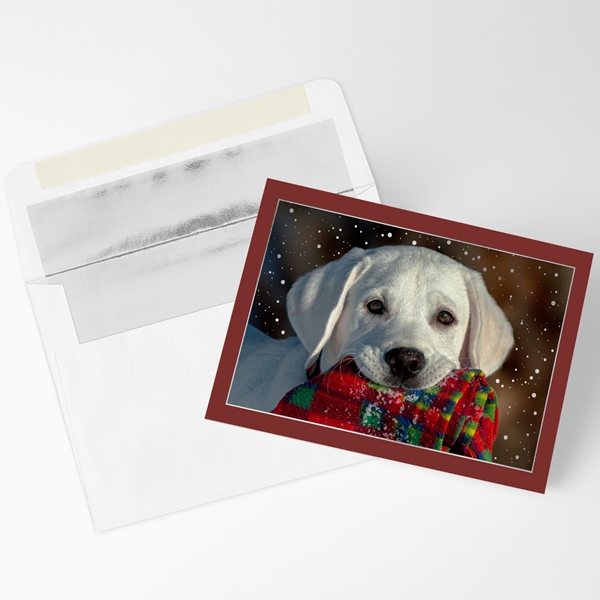 Alternate view:ALT1 of Yellow Lab with Scarf Holiday Cards