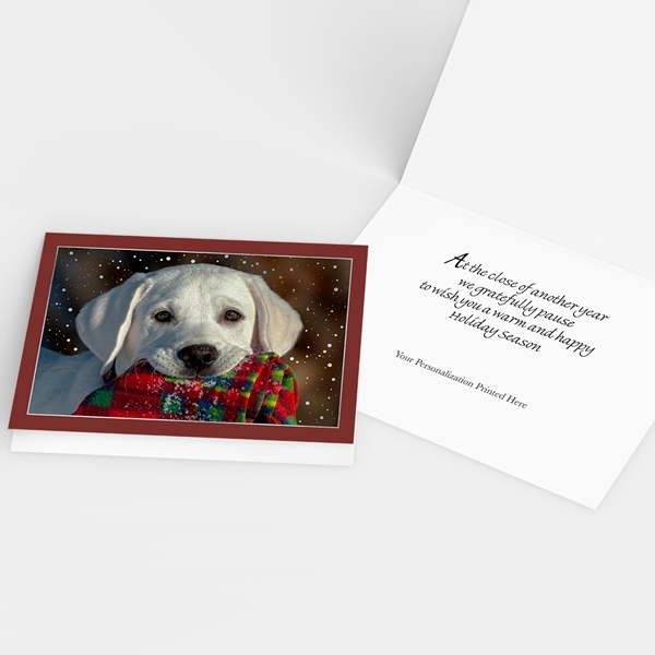 Alternate view:ALT2 of Yellow Lab with Scarf Holiday Cards