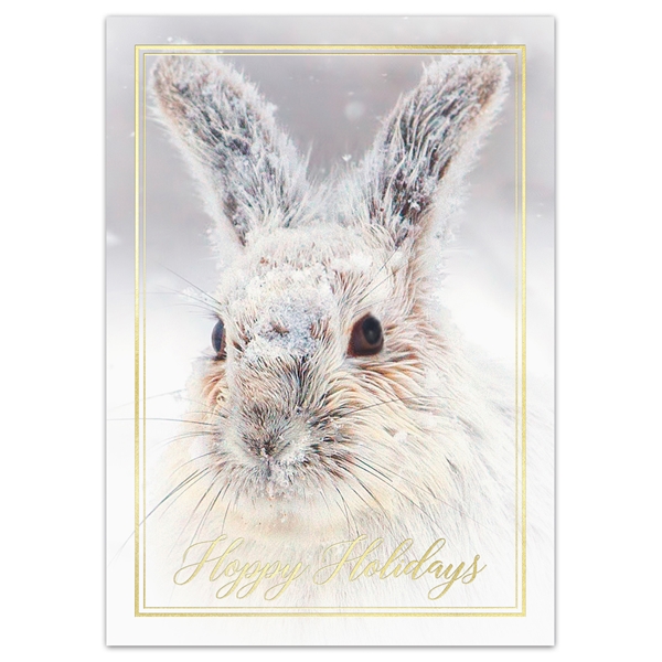 Alternate view: of Snowshoe Hare Holiday Cards