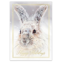Snowshoe Hare Holiday Cards - NWF10674-BUNDLE