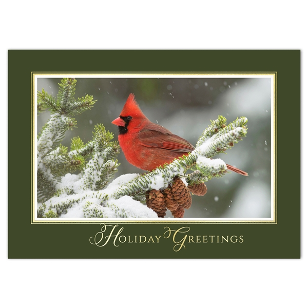 Alternate view: of Cardinal in Winter Snow Holiday Cards