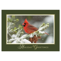 Cardinal in Winter Snow Holiday Cards