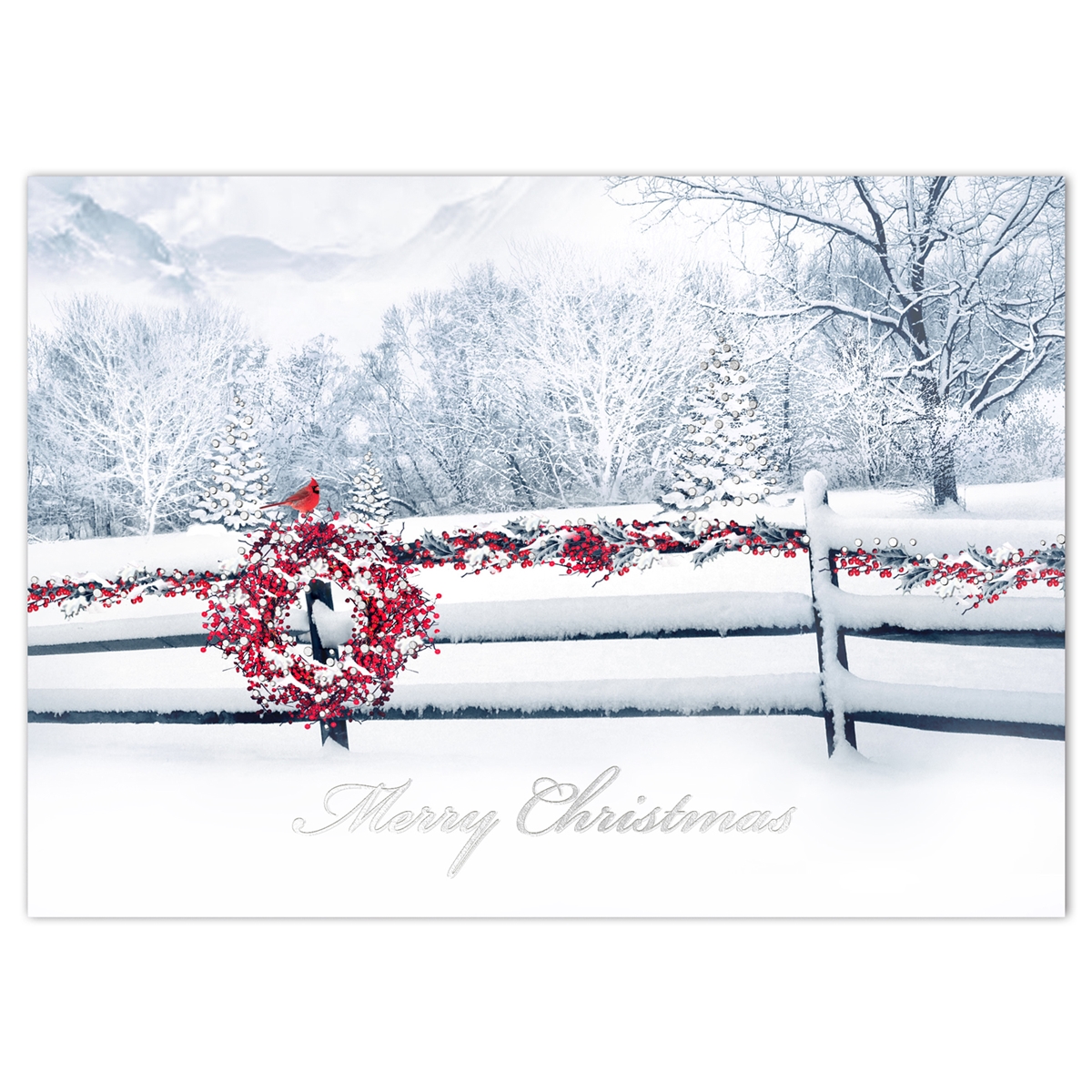 Touch of Scarlet Holiday Cards