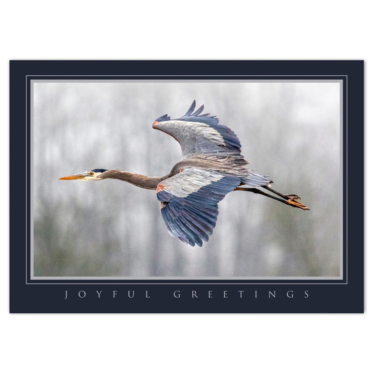 Blue Heron Holiday Cards