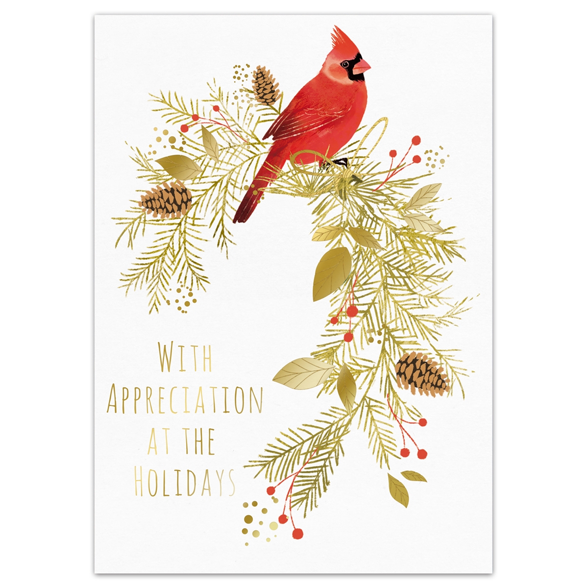 Cardinal with Pine Appreciation Holiday Cards