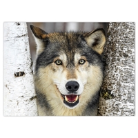 Jolly Wolf Holiday Cards - NWF10685-BUNDLE