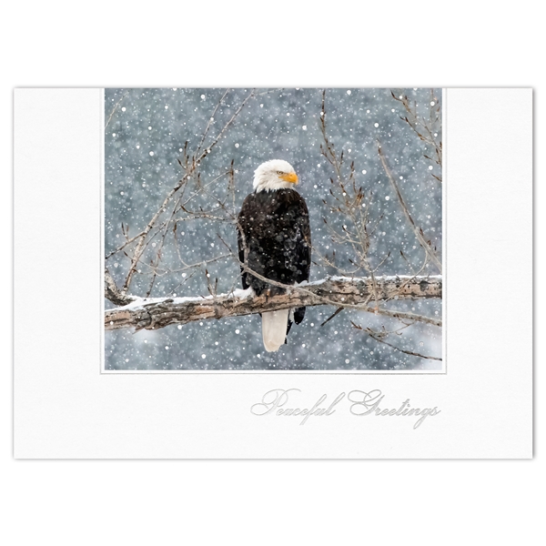 Alternate view: of Bald Eagle in Snow Storm Holiday Cards