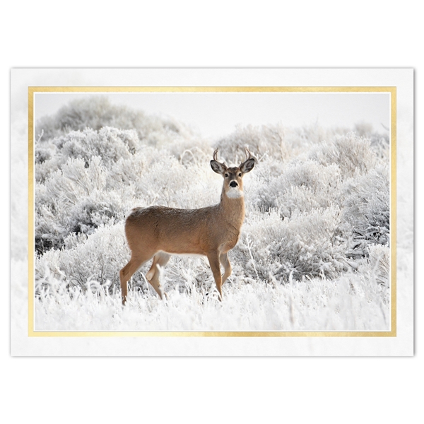 Alternate view: of Buck in Frosted Brush Holiday Cards