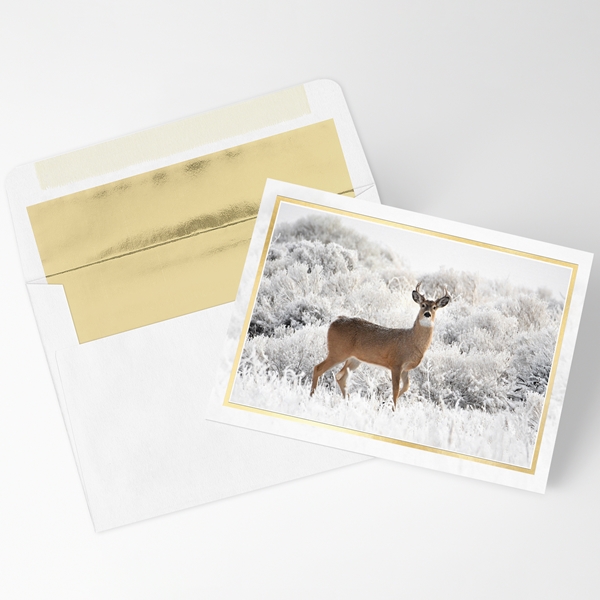 Alternate view:ALT1 of Buck in Frosted Brush Holiday Cards