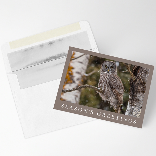 Alternate view:ALT1 of Gray Owl at Gooseberry Falls Holiday Cards