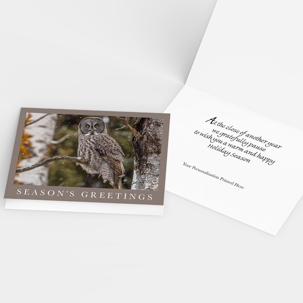Alternate view:ALT2 of Gray Owl at Gooseberry Falls Holiday Cards
