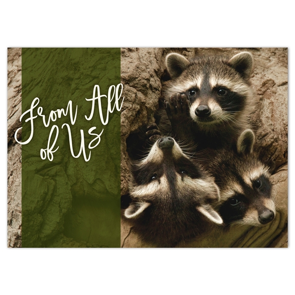 Alternate view: of Raccoon Kits in Den Holiday Cards