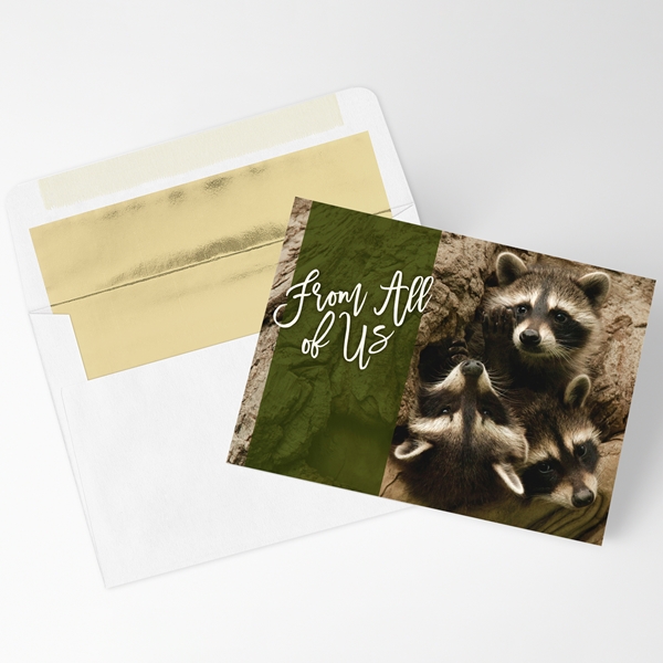 Alternate view:ALT1 of Raccoon Kits in Den Holiday Cards
