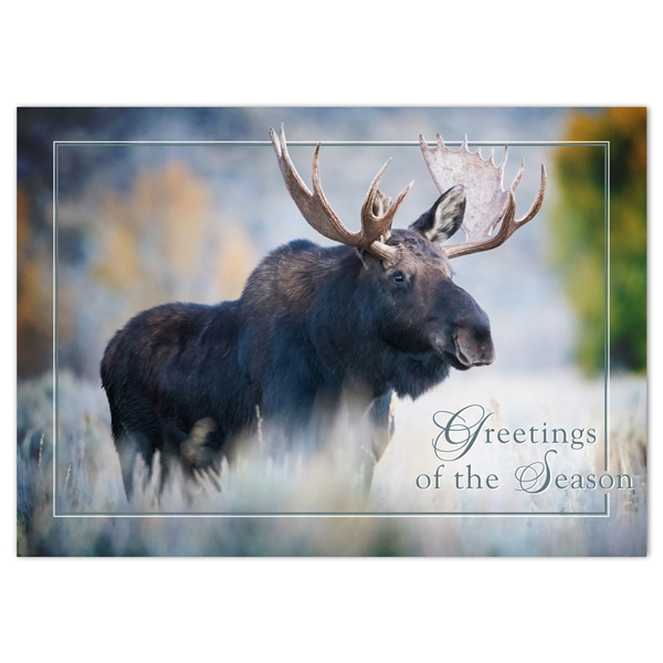 Alternate view: of Bull Moose Holiday Cards