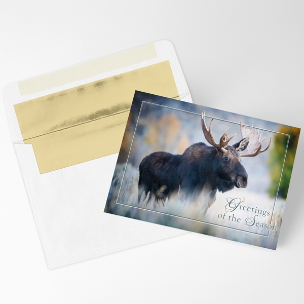 Alternate view:ALT1 of Bull Moose Holiday Cards