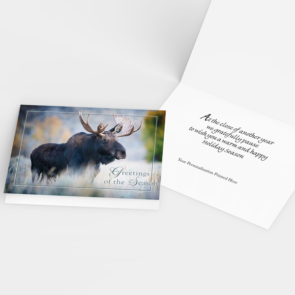 Alternate view:ALT2 of Bull Moose Holiday Cards