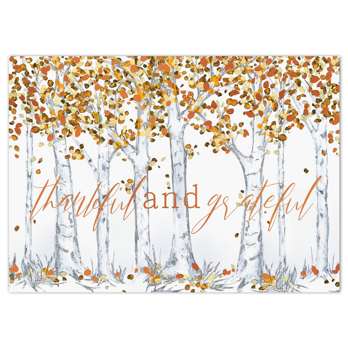 Fall Foliage Thanksgiving Cards