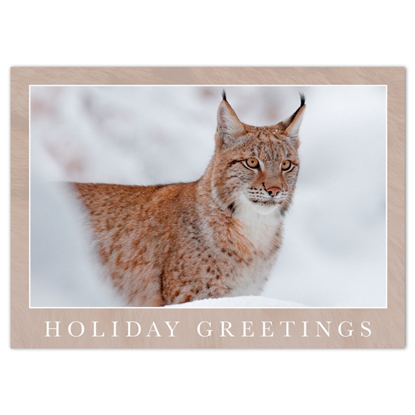 Alternate view: of Lynx in Snow Holiday Cards