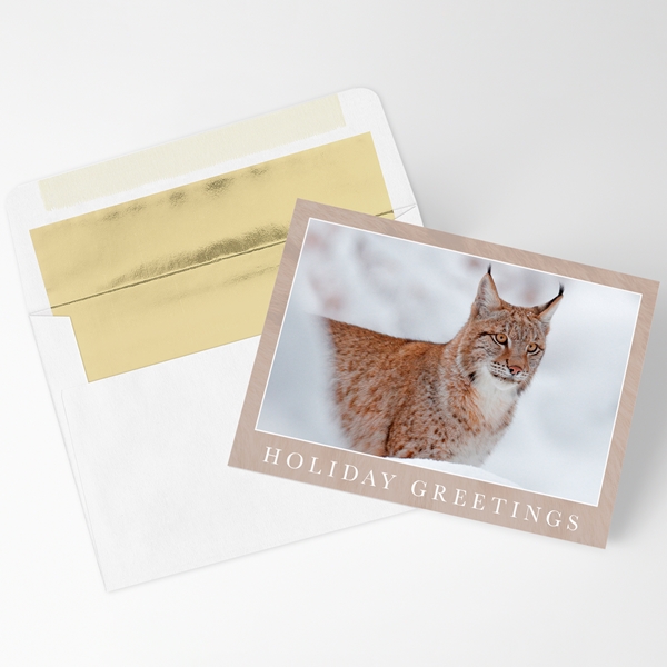 Alternate view:ALT1 of Lynx in Snow Holiday Cards