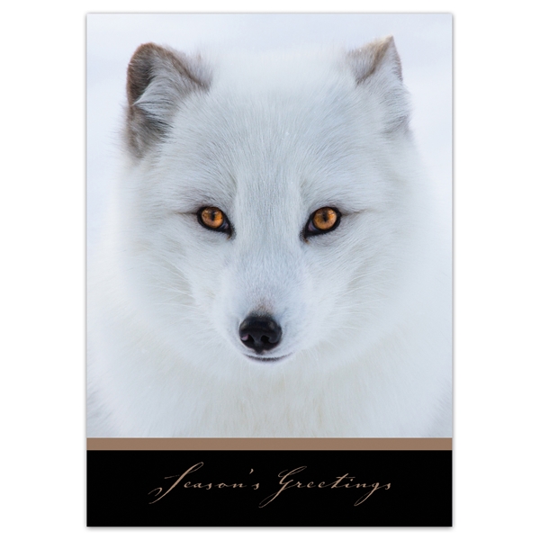 Alternate view: of Arctic Fox Holiday Cards