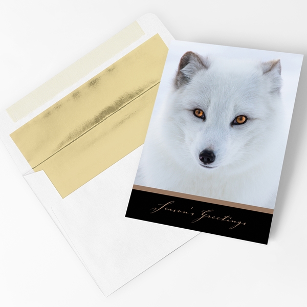 Alternate view:ALT1 of Arctic Fox Holiday Cards