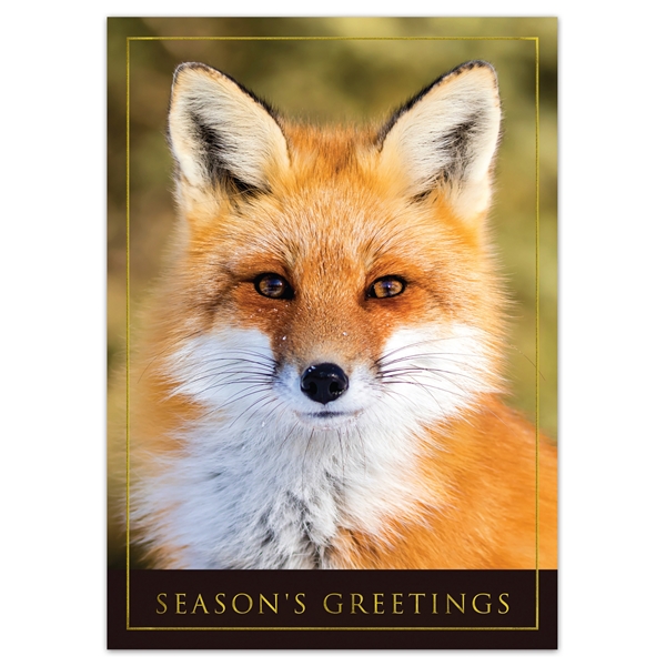 Alternate view: of Red Fox Holiday Cards