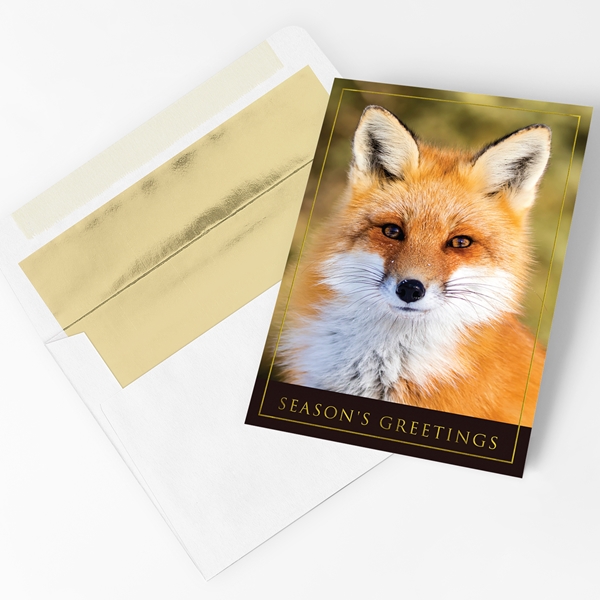 Alternate view:ALT1 of Red Fox Holiday Cards
