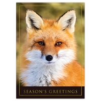 Red Fox Holiday Cards