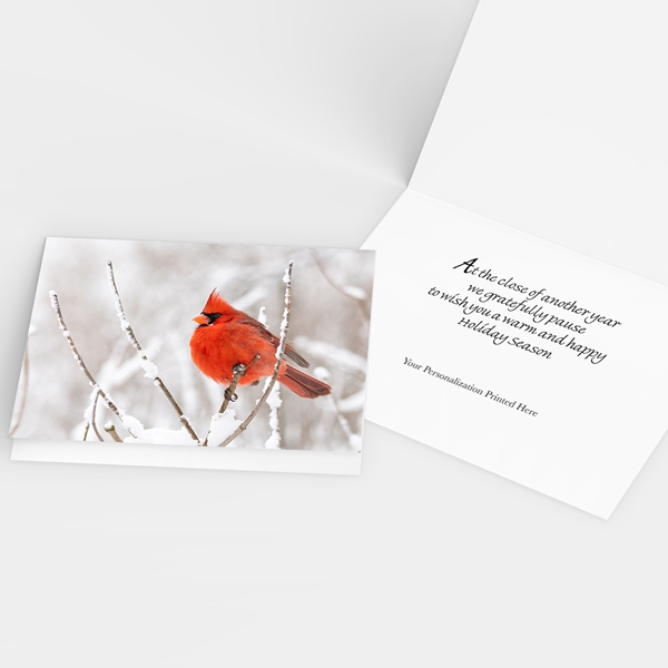 Alternate view:ALT2 of Winter Cardinal Holiday Cards