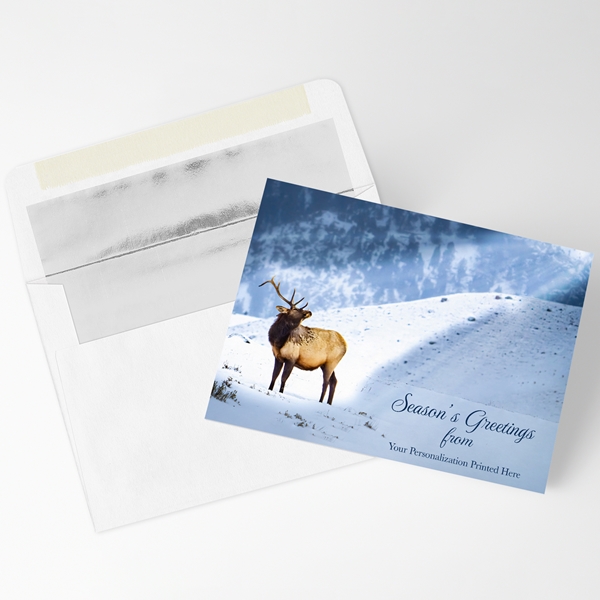 Alternate view:ALT1 of Elk in the Sun Holiday Cards