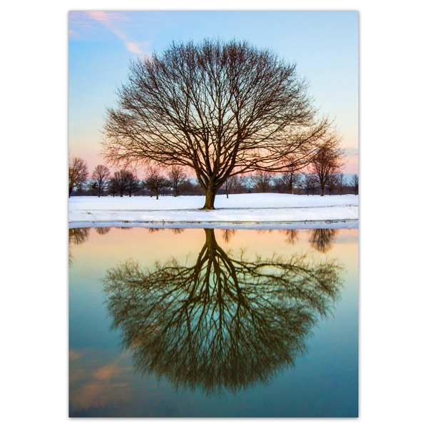 Alternate view: of Mirrored Tree Trees for Wildlife Holiday Cards