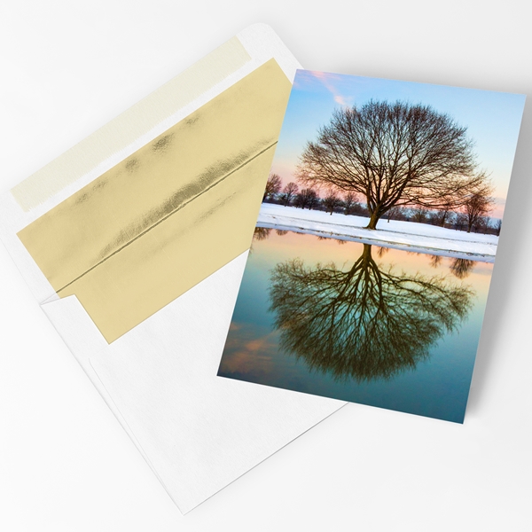 Alternate view:ALT1 of Mirrored Tree Trees for Wildlife Holiday Cards