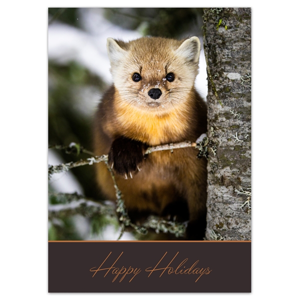 Alternate view: of Pine Marten Trees for Wildlife Holiday Cards