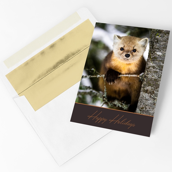 Alternate view:ALT1 of Pine Marten Trees for Wildlife Holiday Cards