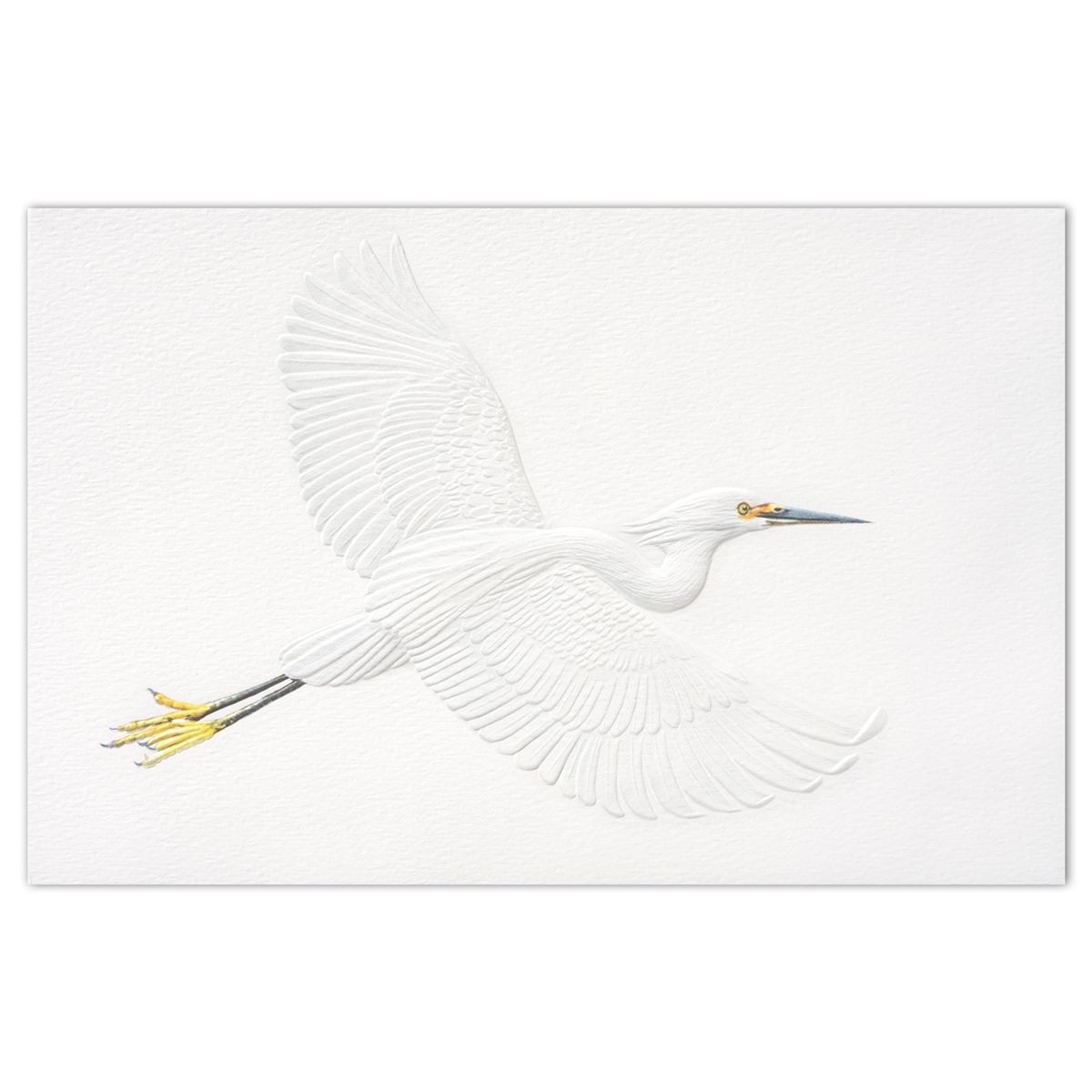Snowy Egret Holiday Cards