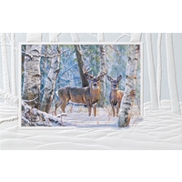 Winter's Beauty Cards - NWF77080