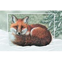 Winter Fox Cards - NWF98831