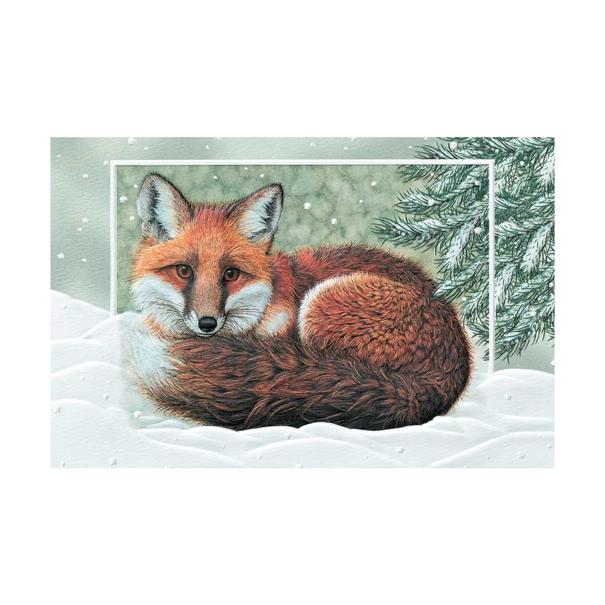 Winter Fox Cards
