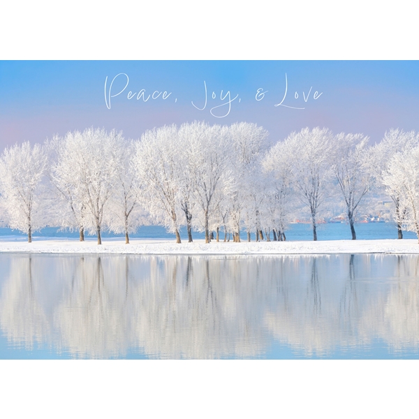 Alternate view: of Winter Wonderland Cards