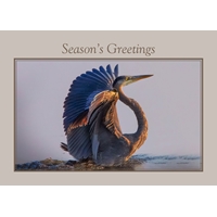 Blue Heron Landing on Lake During Sunset Cards - NWF10901