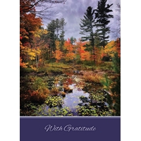 Fall in New England Cards - NWF10906
