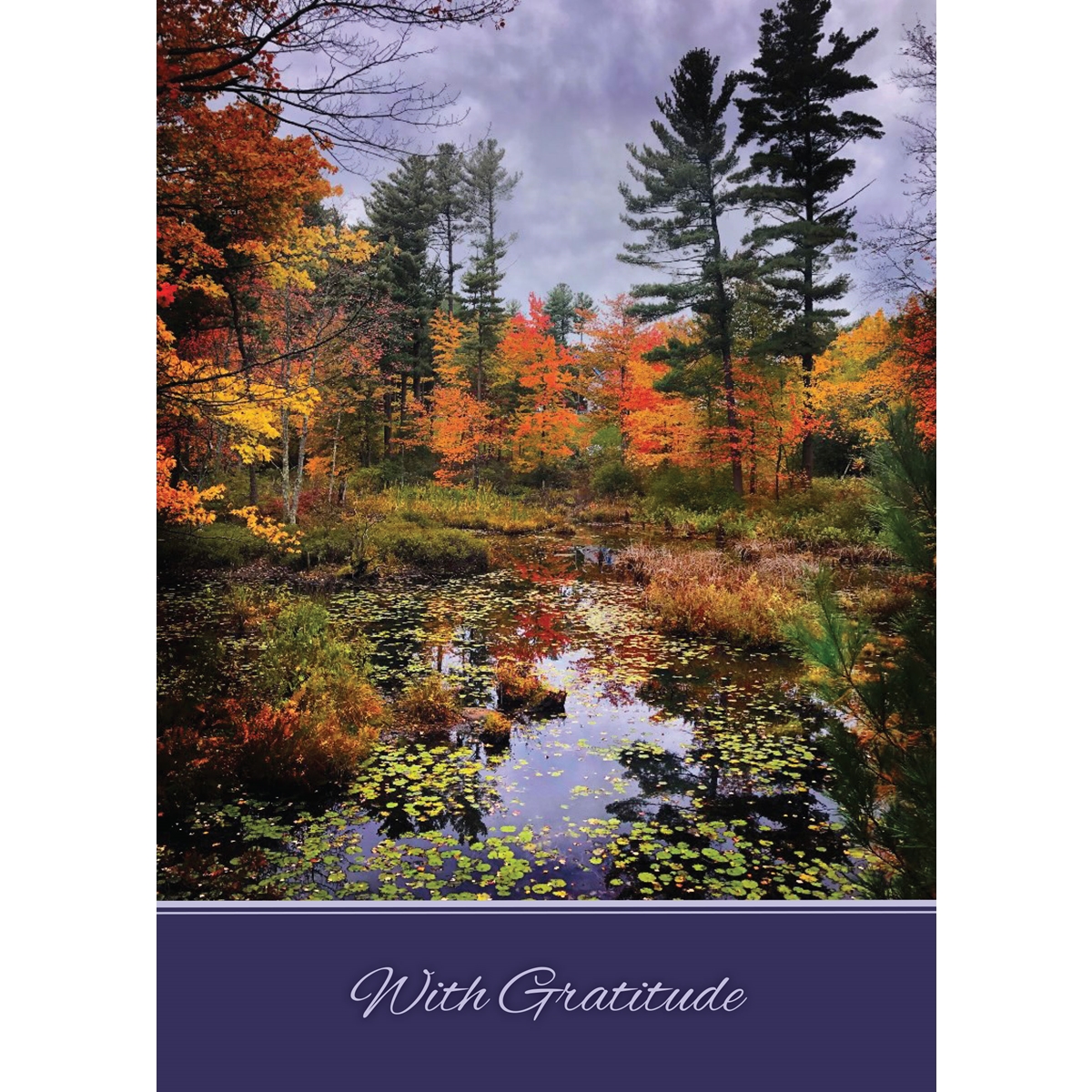 Fall in New England Cards