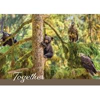 Two Cubs and Eagles Hanging Out Cards - NWF10916