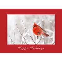 Winter Cardinal Cards - NWF10918