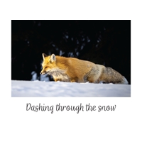 Red Fox on the Hunt Cards - NWF10920