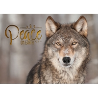 Holiday Gray Wolf Cards - NWF10927