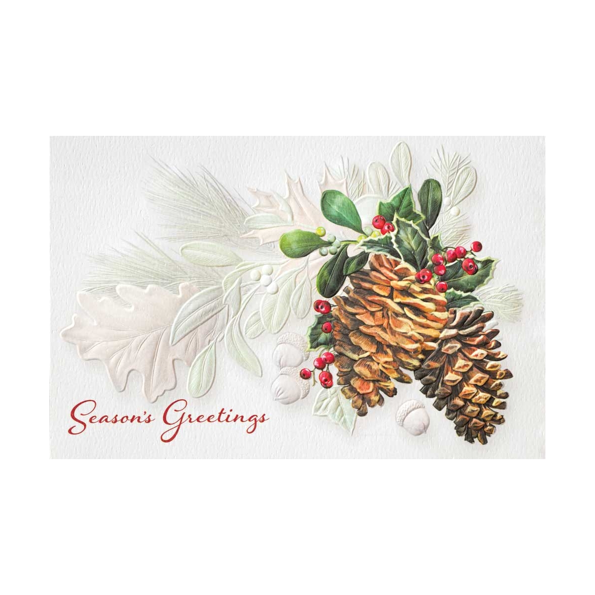Conifer Christmas Cards