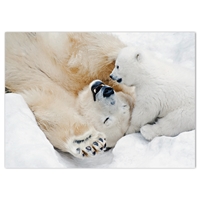 Polar Bear Play Card - NWF240004